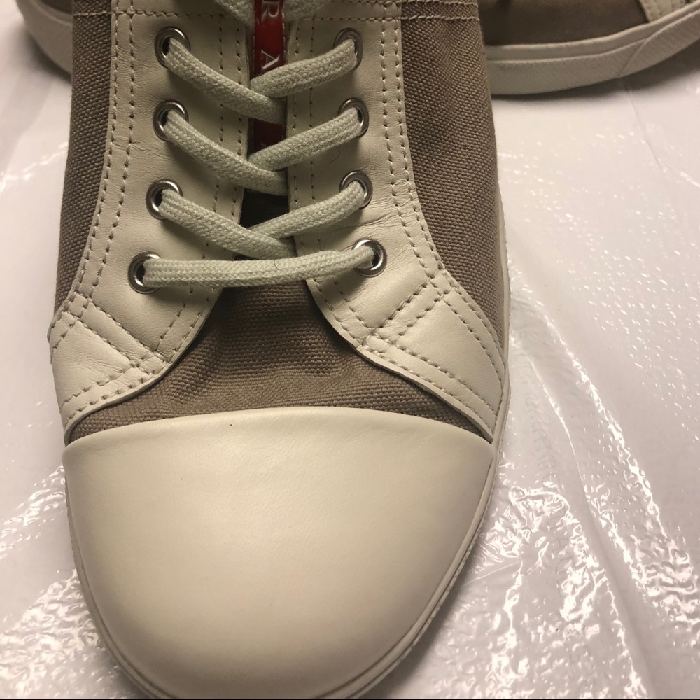 Pasta cream sneaker